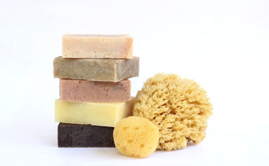 Sea Sponge - hand harvested – Carolina Shores Natural Soap